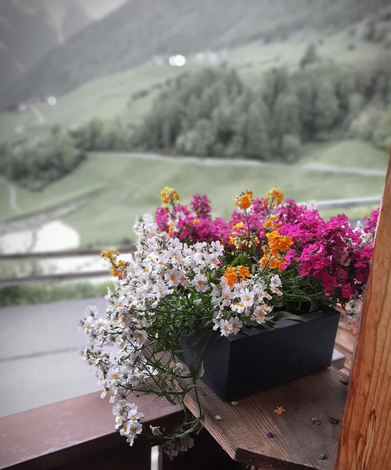 Wascherhof - Ferienwohnungen Oberhofer Мартело Екстериор снимка